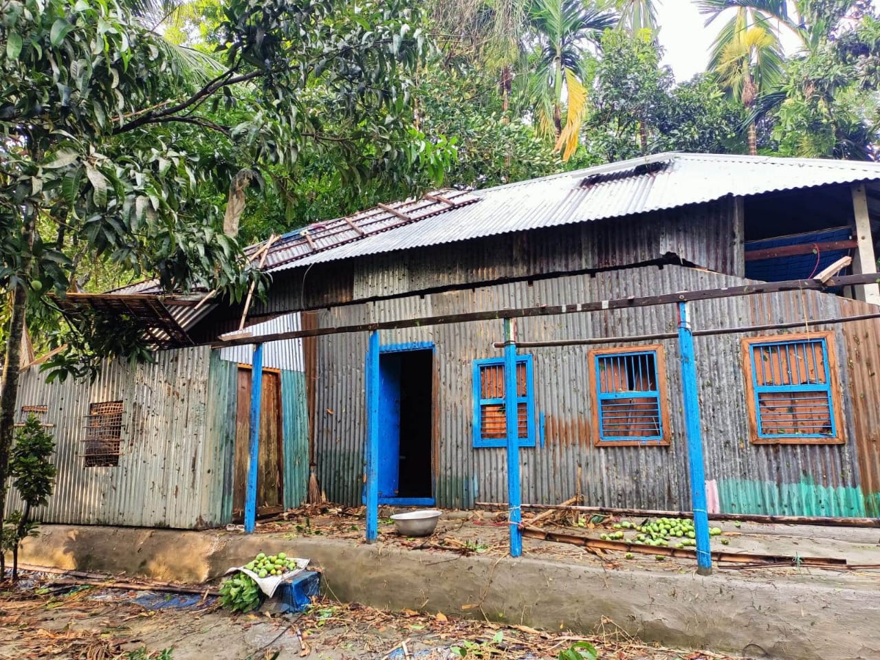 নাগরপুরে কালবৈশাখী ঝড় ও শিলাবৃষ্টিতে ব্যাপক ক্ষয়ক্ষতি