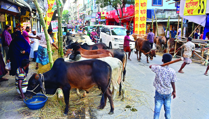 হাটে পর্যাপ্ত গরু, দাম চড়া