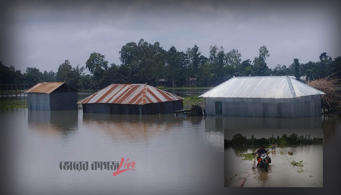 কুড়িগ্রামে ১২ হাজার পরিবার পানিবন্দী