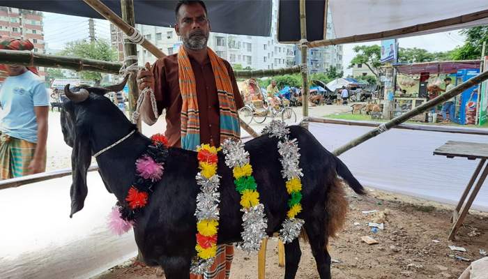 আফতাবনগর হাটের সবচেয়ে বড় খাসির নাম মায়ের দোয়া