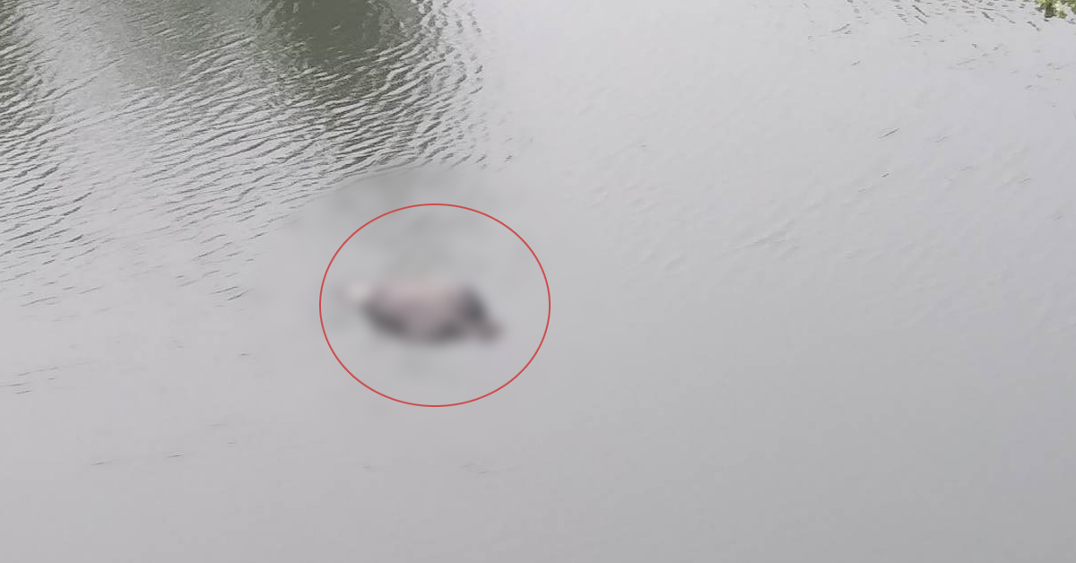 তাড়াশে অজ্ঞাত ব্যক্তির বস্তাবন্দি লাশ উদ্ধার