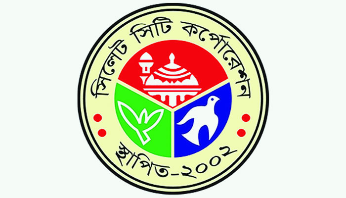 নৌকার পক্ষে প্রচারণায় প্রবাসীরা