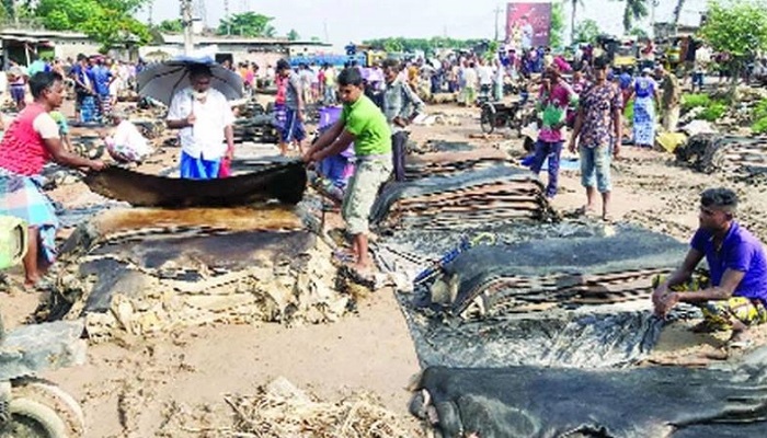 সিলেট ও বরিশালে দামে হতাশ চামড়া ব্যবসায়ীরা