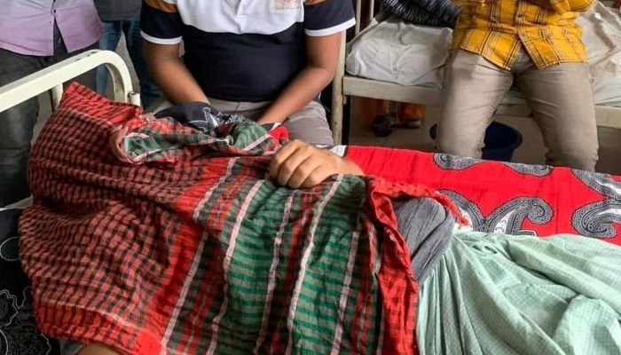 মিরসরাইয়ে পাগলা কুকুরের কামড়ে আহত ১৫