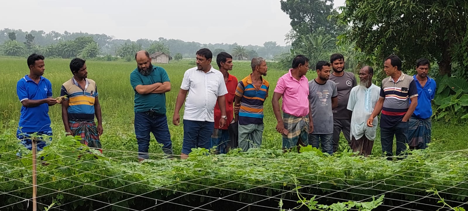 ছোট করলা চাষে বাম্পার ফলন, কৃষকের মুখে হাসি