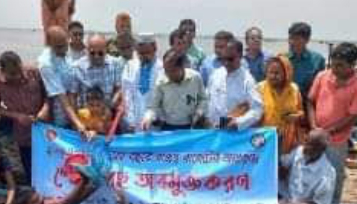 তাড়াশের প্লাবন ভূমিতে পোনা মাছের অবমুক্তি