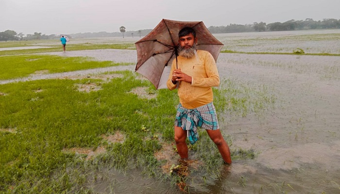 রাঙ্গাবালীতে একটানা বৃষ্টিতে জনজীবনে ভোগান্তি