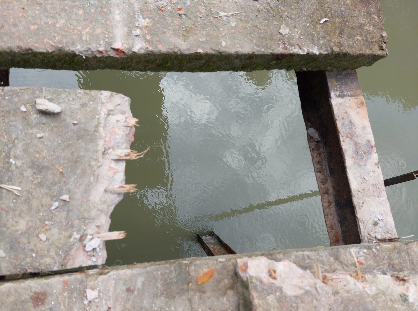 কাউখালীতে ব্রিজের স্লাব তৈরিতে রডের পরিবর্তে সুপারি গাছের চেরা!