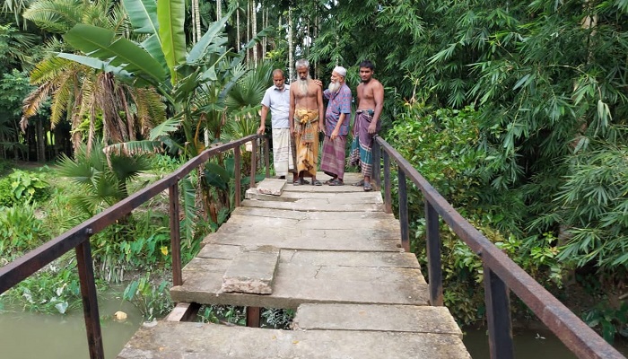 কাউখালীতে ব্রিজের স্লাব তৈরিতে রডের পরিবর্তে সুপারি গাছের চেরা!