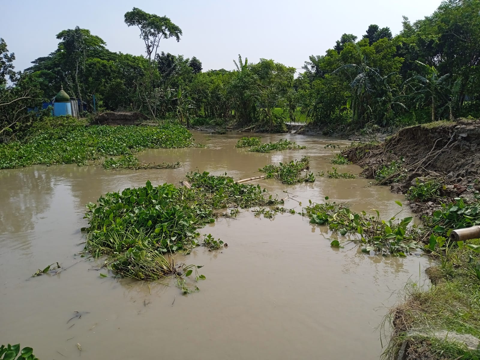 বাবুগঞ্জে নদীভাঙনে বিলীন হয়ে গেছে সড়ক