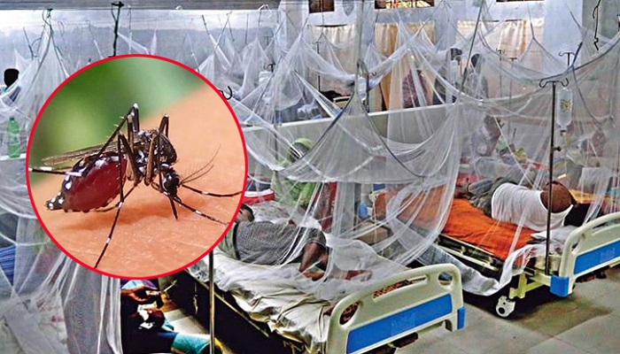 ডেঙ্গুতে আরো ১৩ মৃত্যু
