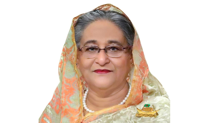 ঢাকায় পৌঁছেছেন প্রধানমন্ত্রী