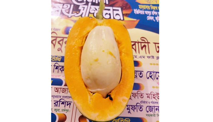 মেঘনায় পাঁকা পেঁপের ভিতর মিললো কাঁচা পেঁপে!