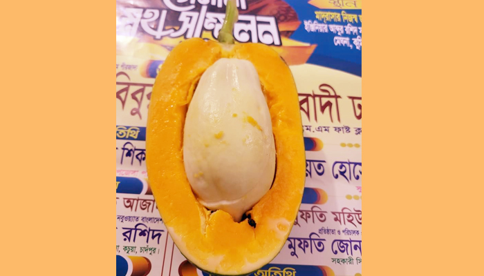 মেঘনায় পাঁকা পেঁপের ভিতর মিললো কাঁচা পেঁপে!