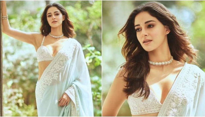 আদিত্যের সঙ্গে প্রেমের গুঞ্জন, সুখবর দিলেন অনন্যা পাণ্ডে