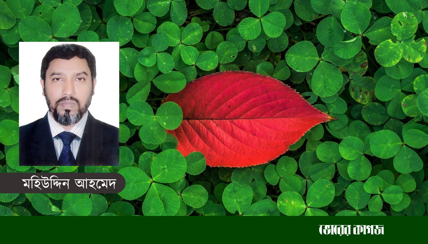 আমি মুক্তিযুদ্ধের সময় বাঙ্কারে জন্ম নেয়া সেই শিশু