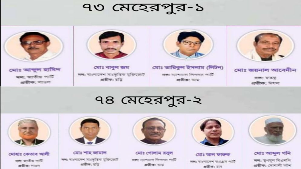 জামানত হারালেন মেহেরপুরের দুটি আসনের ৯ প্রার্থী