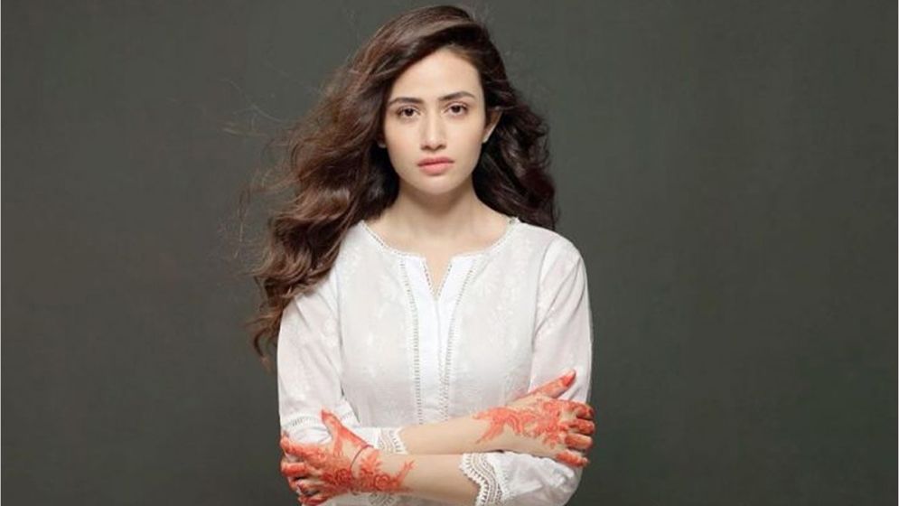 শোয়েবের নতুন স্ত্রী কে এই সানা জাবেদ?