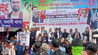 মঙ্গলবার সারাদেশে কালো পতাকা মিছিল করবে বিএনপি 