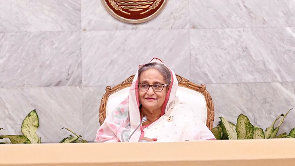 জিআই নিয়ে তৎপর হতে সংশ্লিষ্টদের নির্দেশ প্রধানমন্ত্রীর