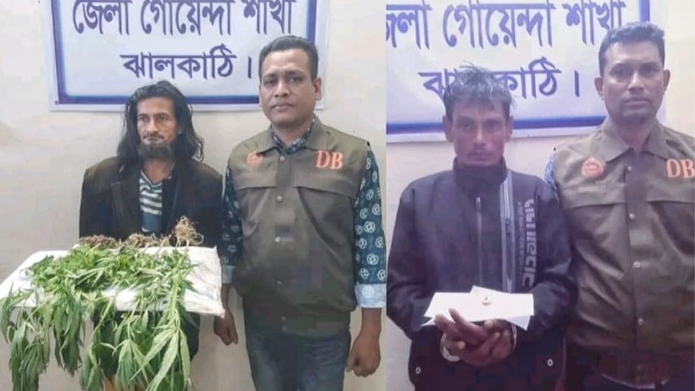 ঝালকাঠিতে ৮টি গাঁজাগাছ ও ইয়াবাসহ দুইজন আটক