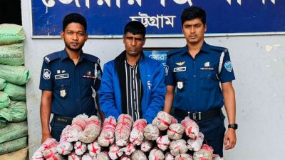 মিরসরাইয়ে ২৪ কেজি গাঁজাসহ মাদক ব্যবসায়ী গ্রেপ্তার