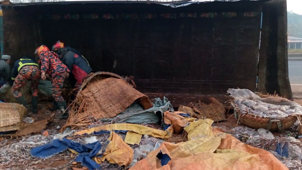 কুমিল্লায় মাছবাহী পিকআপ উল্টে নিহত ৪