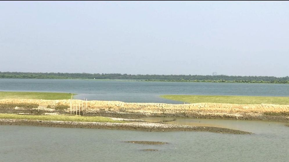 বাংলাদেশে পালিয়ে এলো বিজিপির ১৪ সদস্য 