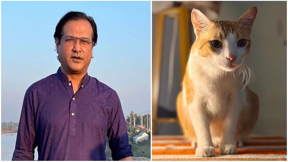 আসিফের বিড়াল খুঁজে দিলেই ৫০ হাজার টাকা