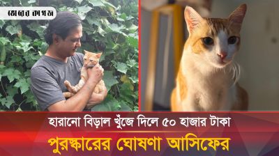 আসিফের বিড়াল খুঁজে দিলেই ৫০ হাজার টাকা