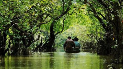 যে কারণে শনিবার থেকে সুন্দরবনে প্রবেশে তিন মাসের নিষেধাজ্ঞা