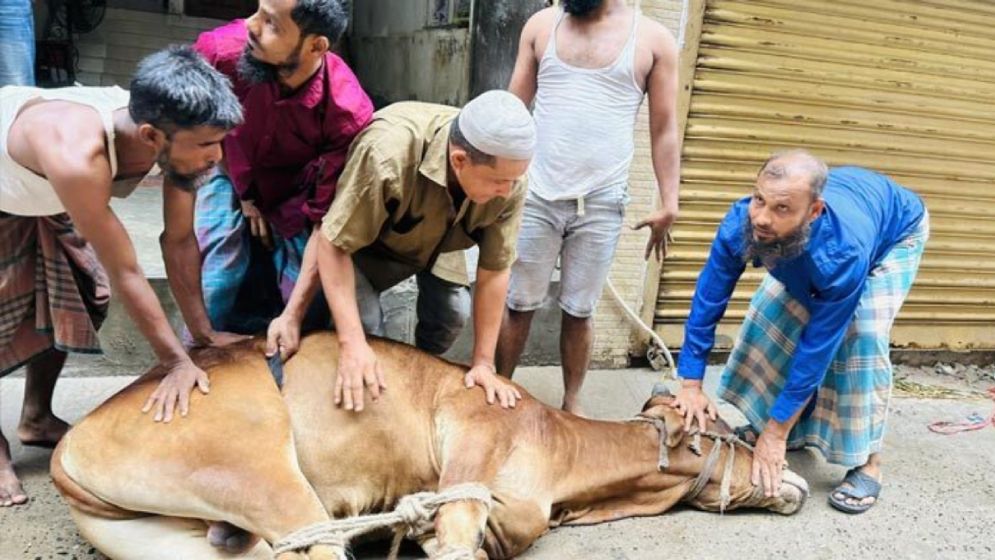 মহান আল্লাহর সন্তুষ্টির আশায় চলছে পশু কোরবানি