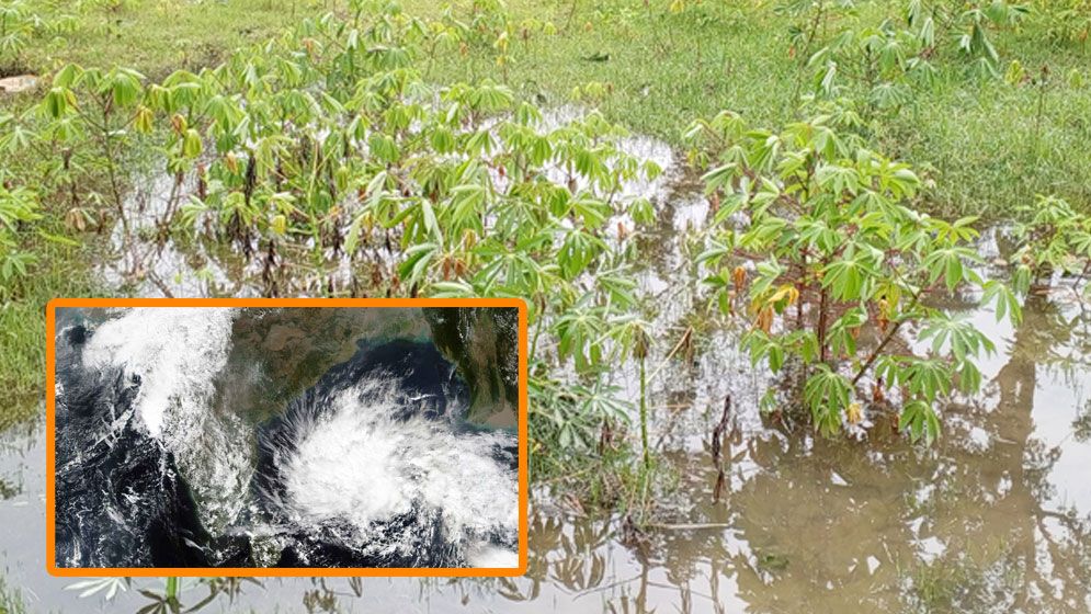 ঘূর্ণিঝড় রেমালে কৃষিতে ১ হাজার ৫৯ কোটি টাকার ক্ষতি