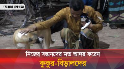 মালিকের সব কথাই বুঝে কুকুর বিড়ালগুলো