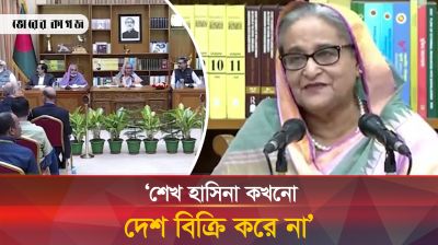 কীভাবে দেশ বিক্রি হয়, জানতে চাইলেন প্রধানমন্ত্রী?