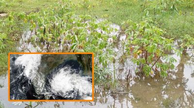 ঘূর্ণিঝড় রেমালে কৃষিতে ১ হাজার ৫৯ কোটি টাকার ক্ষতি