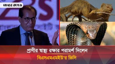 রাসেল ভাইপারের কল্পকাহিনী শোনালেন বিএসএমএমইউর ভিসি