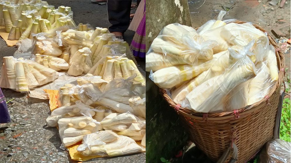 কাপ্তাইয়ে নিষেধাজ্ঞার মধ্যেও বাঁশ কোড়ল বিক্রির হিড়িক         