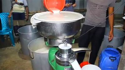 পাবনায় প্রতিদিন বিক্রি হচ্ছে কোটি টাকার খাঁটি দুধের ছানা