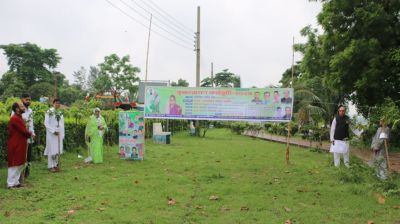 পরিবেশের ভারসাম্য রক্ষায় বৃক্ষরোপণের বিকল্প নেই