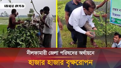 যে কারণে বৃক্ষরোপণ করতে বললেন নীলফামারী জেলা পরিষদ চেয়ারম্যান 