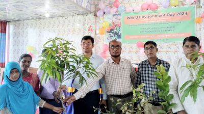 লাকসামে শিশুদের মাঝে ২ হাজার গাছের চারা বিতরণ  