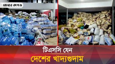 যেমন ছিল টিএসসির গণত্রান কর্মসূচি