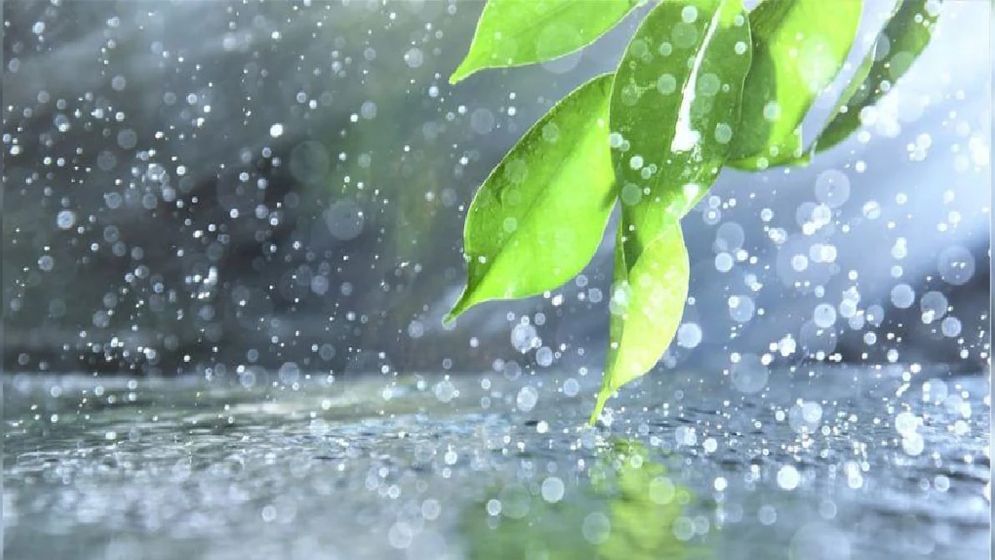 যেসব জেলায় বৃষ্টির আভাস