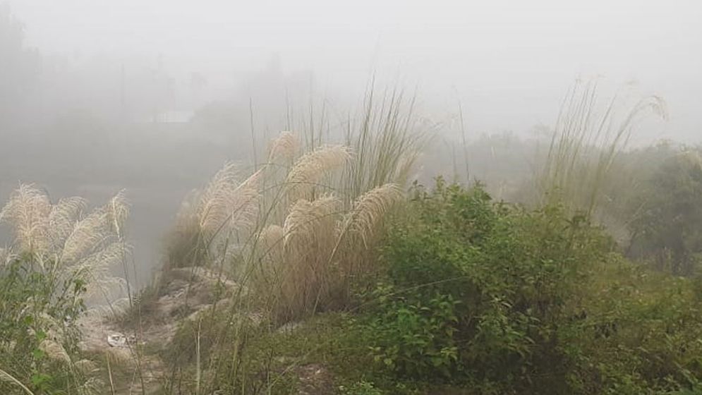 ঘন কুয়াশায় ঢাকা তেঁতুলিয়া