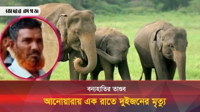 বন্যহাতির তাণ্ডব, আনোয়ারায় এক রাতে দুইজনের মৃত্যু
