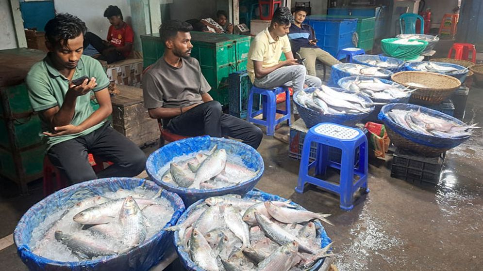ইলিশের দাম বেড়েছে ৩ গুণের বেশি