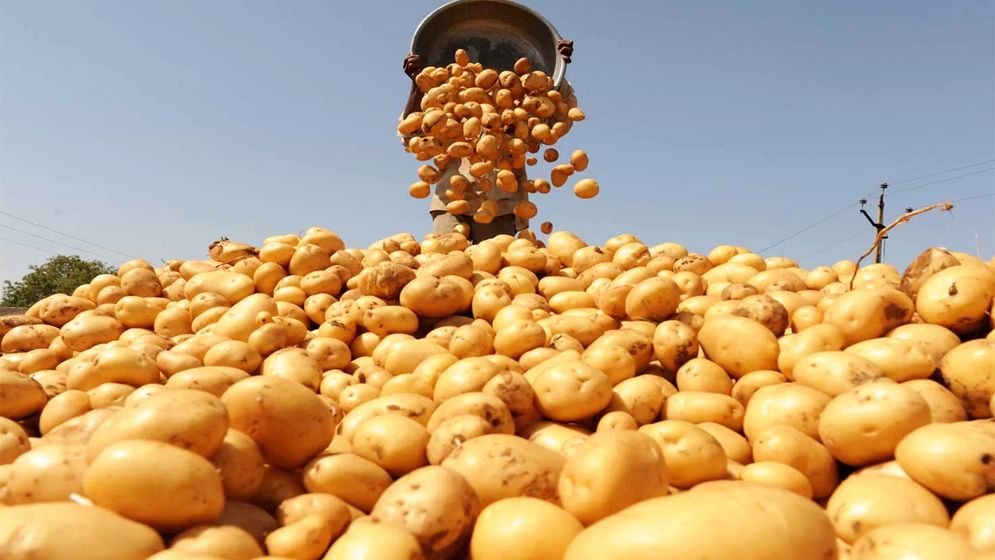 হিলি স্থলবন্দর দিয়ে এলো ভারতীয় নতুন আলু