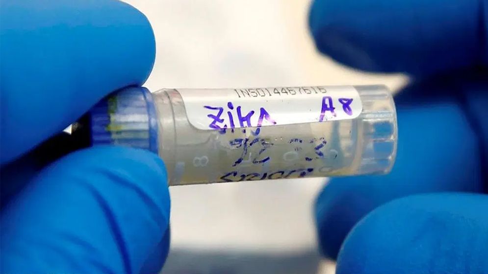রাজধানীতে জিকা রোগী শনাক্ত