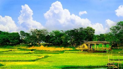 গ্রামে ফিরে আসুন